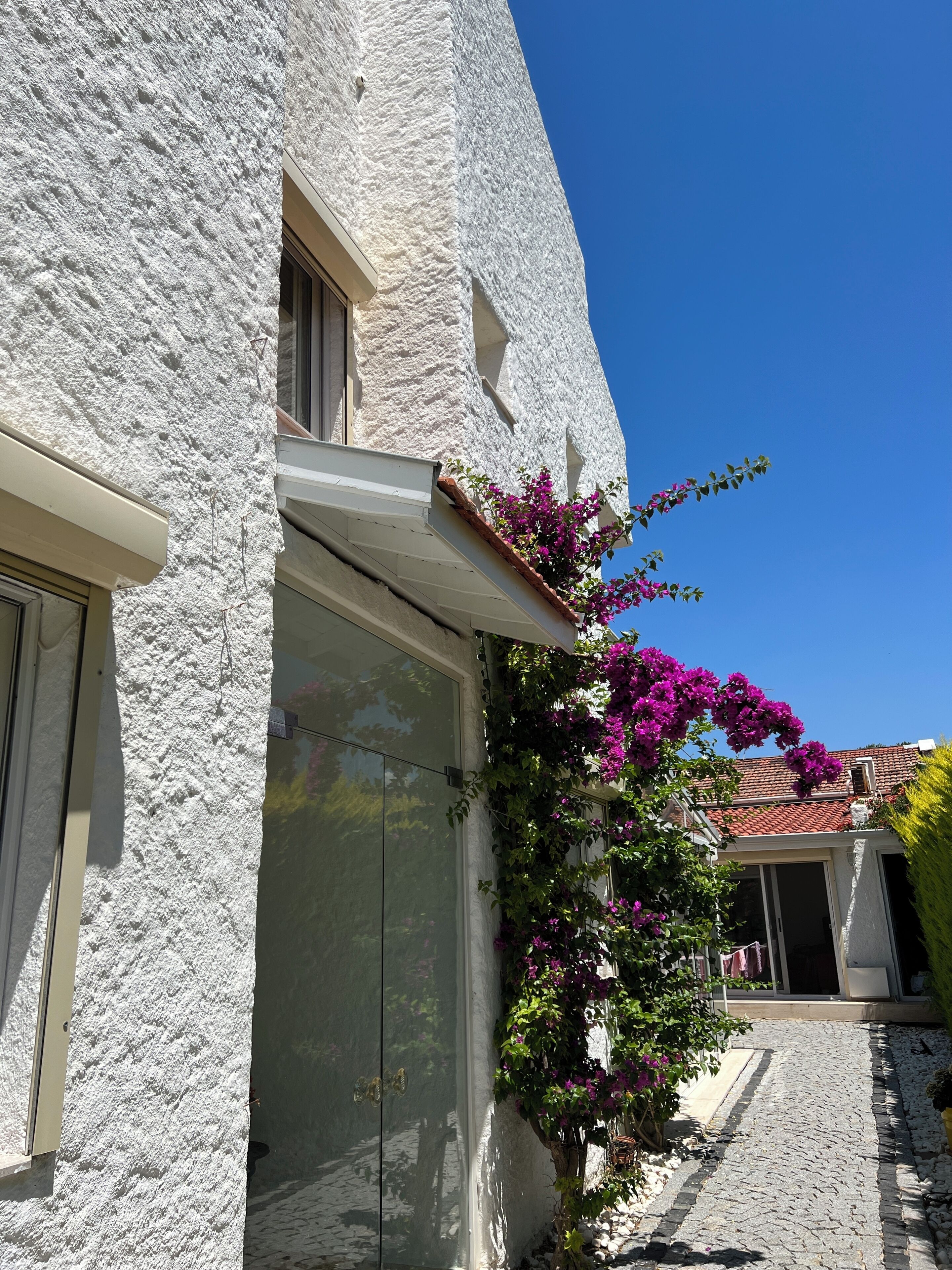 A building with a textured facade, a large glass door, and a small balcony with purple flowers.
