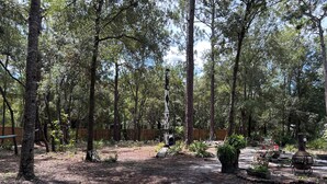 A forested outdoor area with a picnic table, a fire pit, and a wooden fence. - Homosassa Getaway 3/2 (Homosassa)
