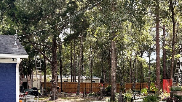 A fenced yard with a blue building, trees, and a wooden fence. - Homosassa Getaway 3/2 (Homosassa)