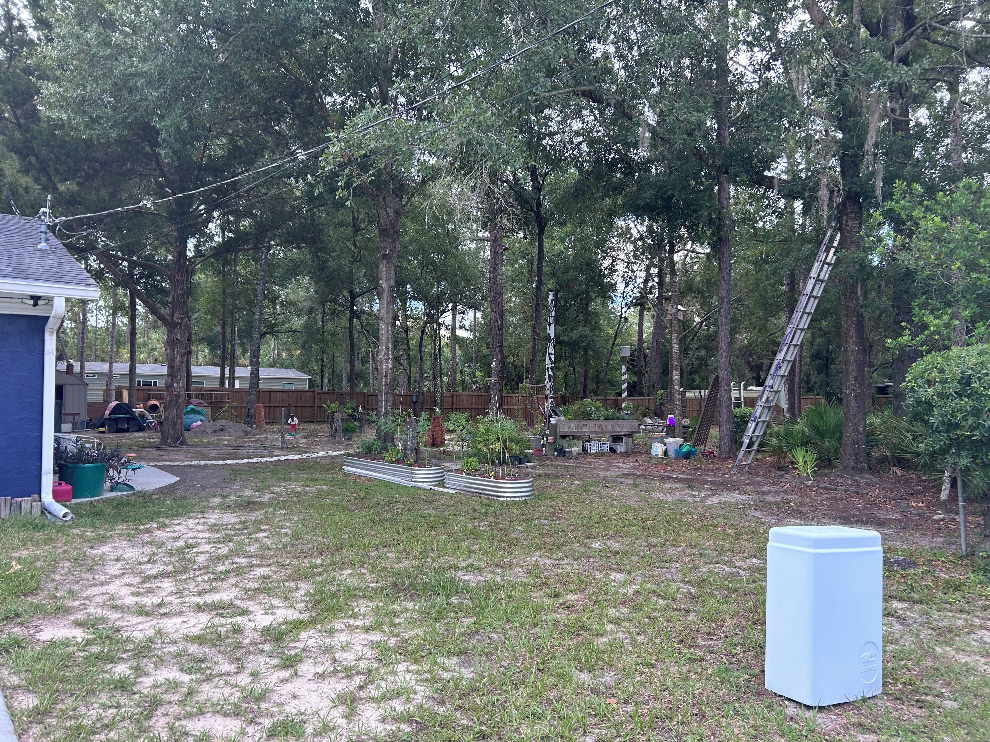 A backyard with trees, a ladder, and a small shed.