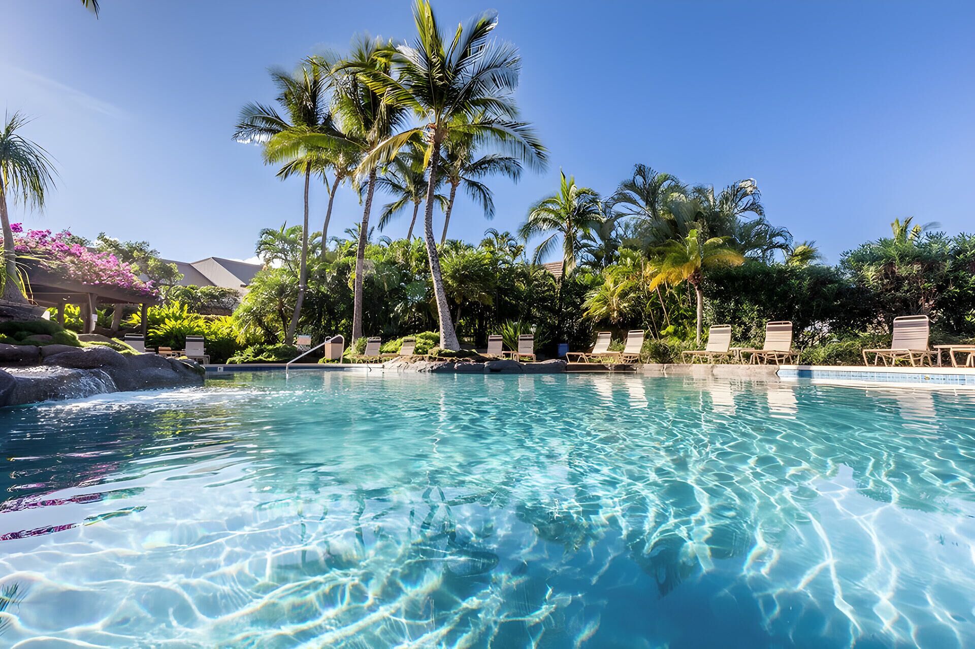 A clear pool with lounge chairs and palm trees.