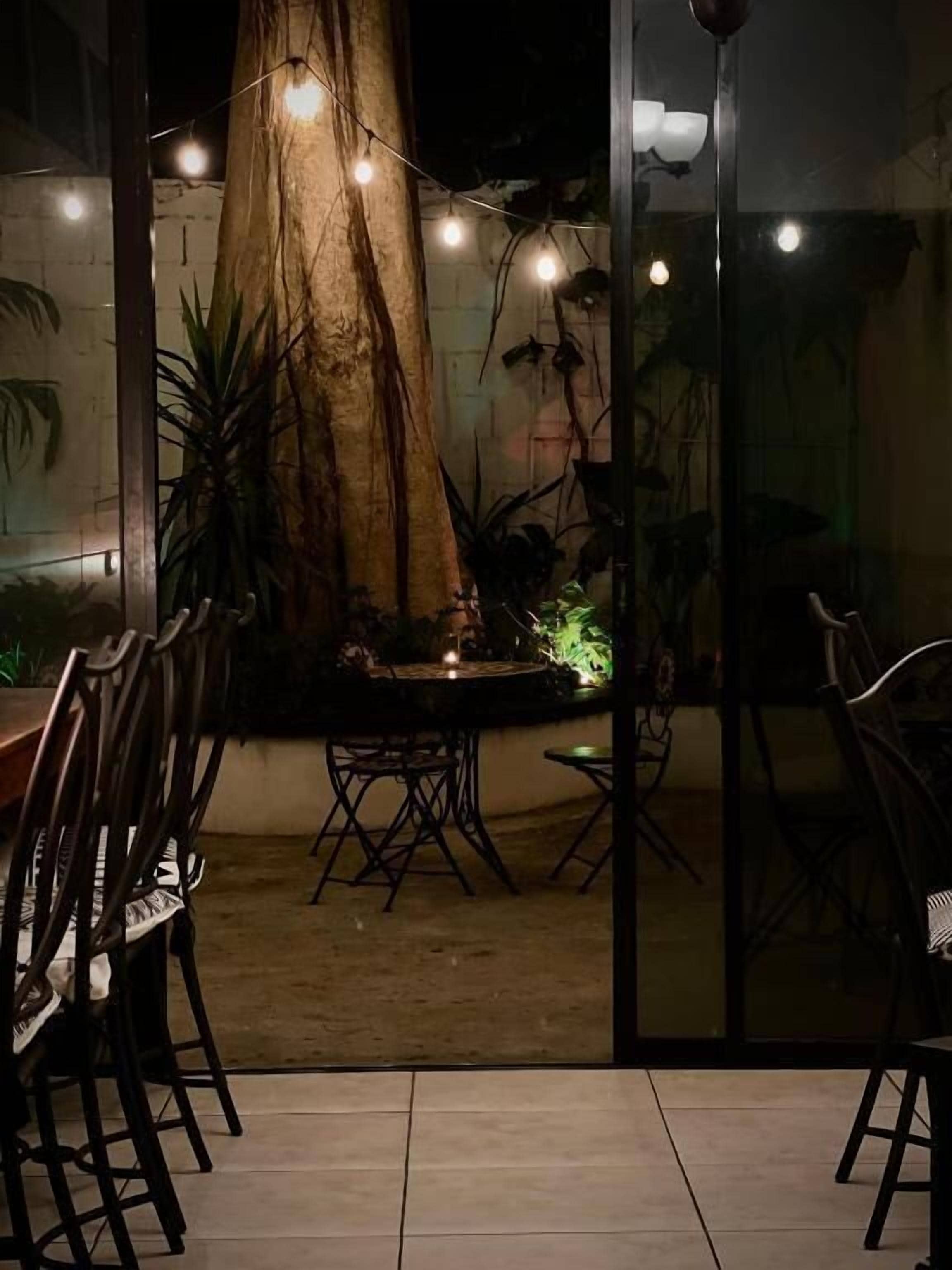 Un espace de restauration en plein air avec une table et des chaises, un grand arbre et des guirlandes lumineuses.