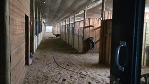 Un long couloir bordé de nombreux boxes à chevaux, chacun étant doté d’une porte et d’une fenêtre.