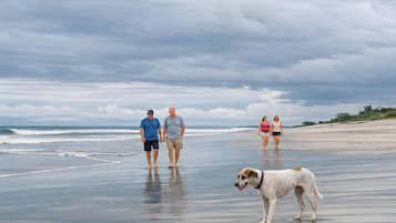 Strand