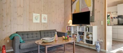 TV, fireplace, DVD player