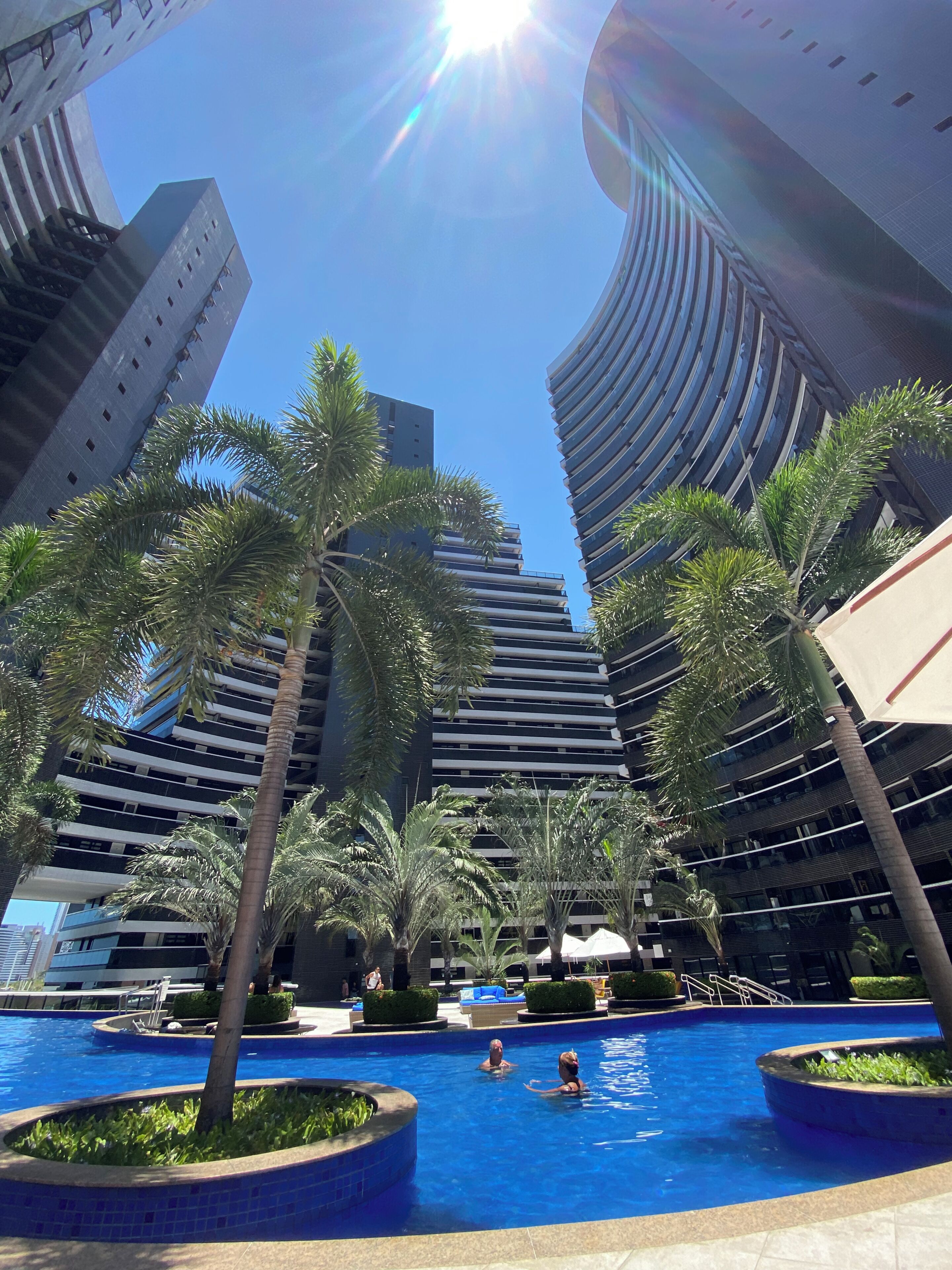 A swimming pool surrounded by palm trees and modern buildings.