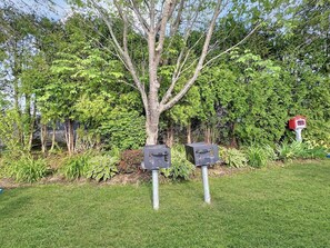 Ein Baum mit zwei Briefkästen steht auf einer Wiese.