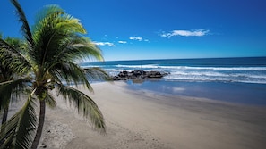 Praia com coqueiro e ondas do mar.
