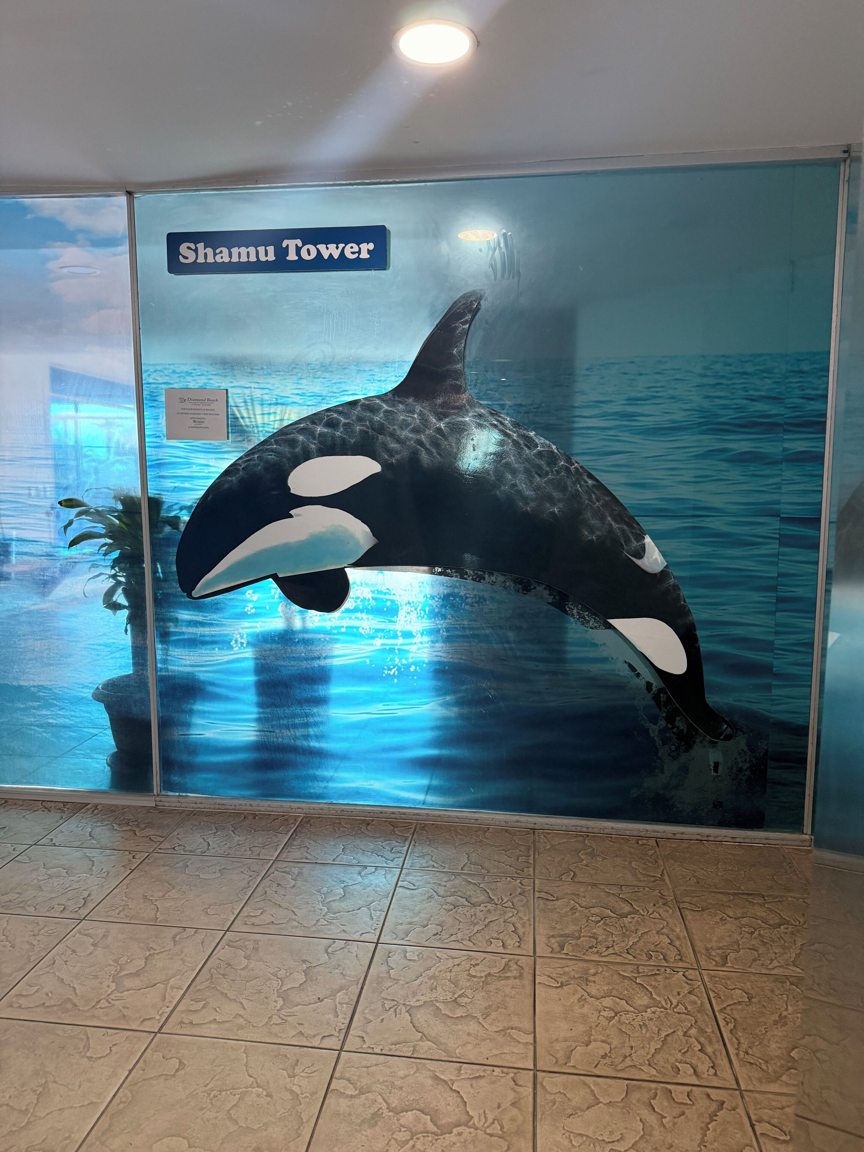 A glass wall with a Shamu Tower sign and an orca sculpture.