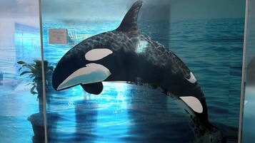 A glass wall with a Shamu Tower sign and an orca sculpture.