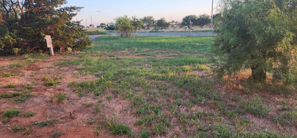 A rural landscape with a dirt path, sparse vegetation, and a road in the distance.