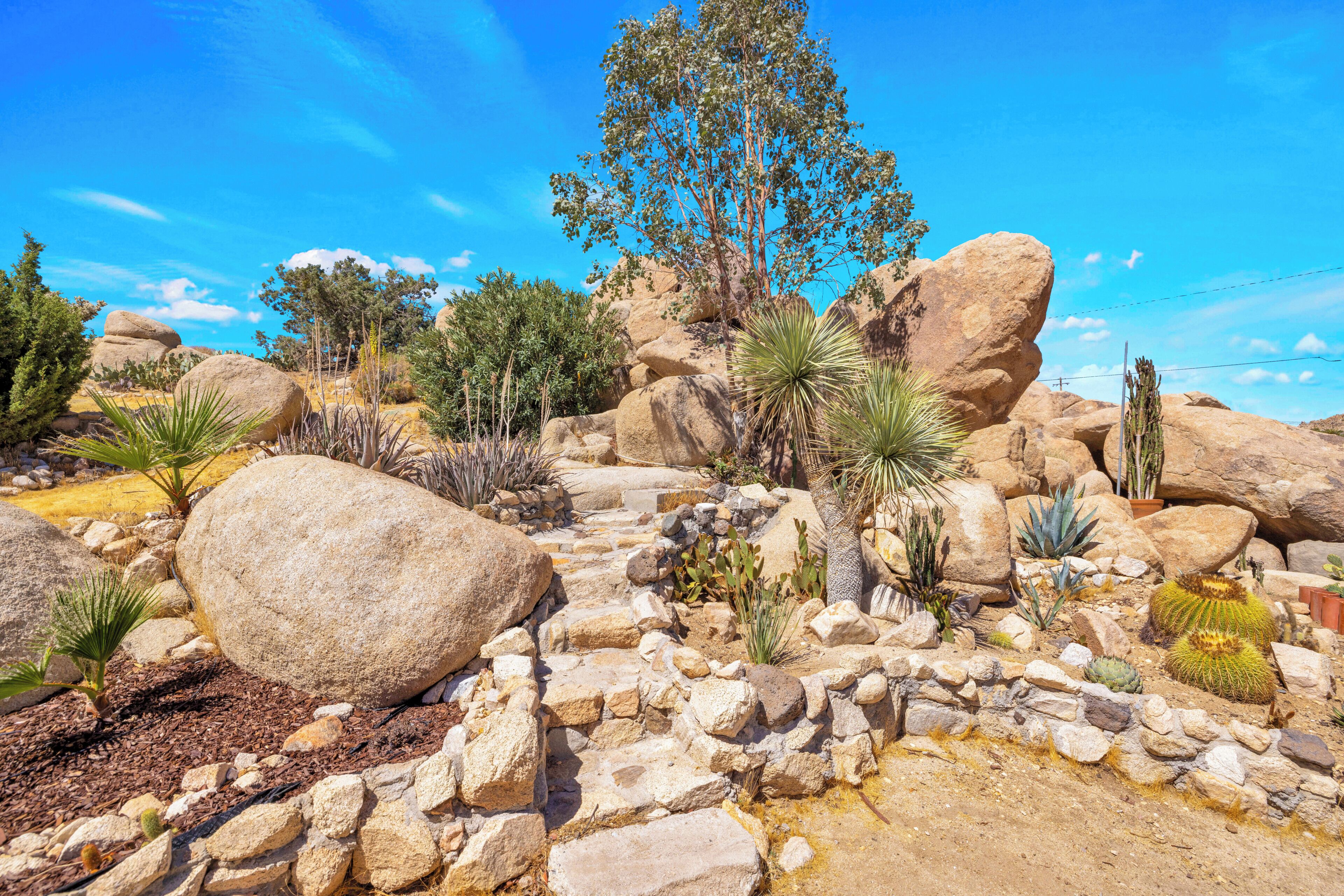 A desert landscape with large rocks, cacti, and a tree.