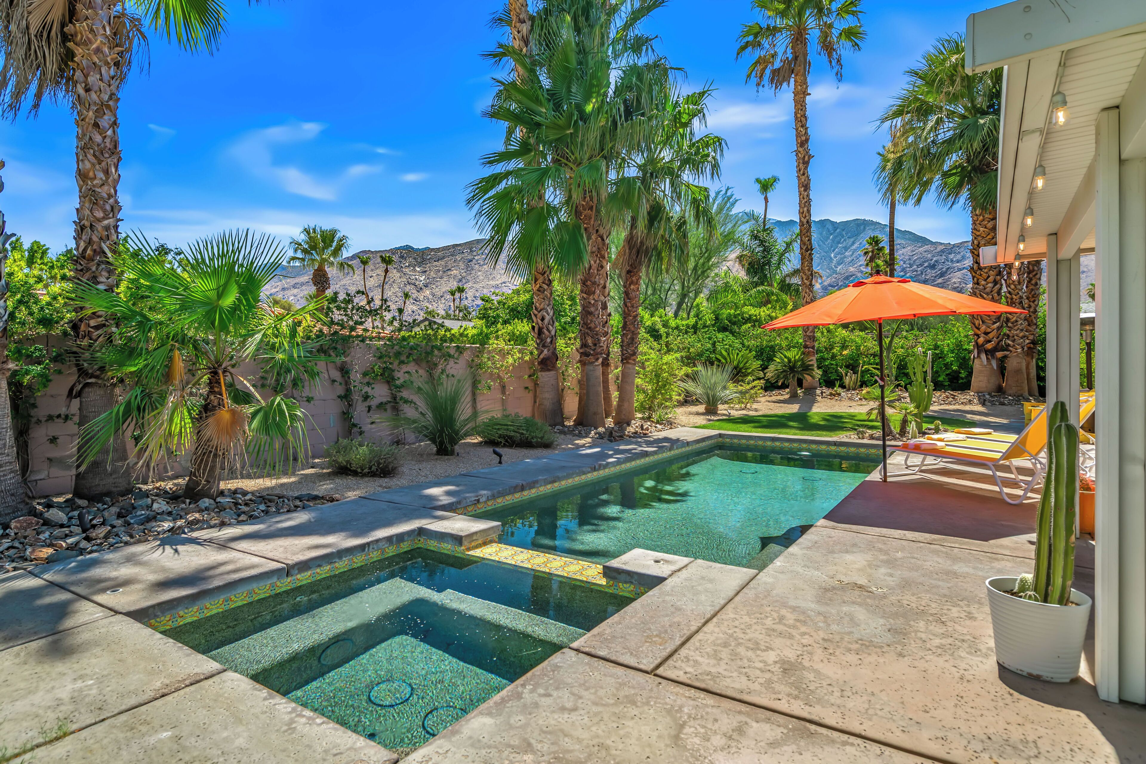A pool area with a clear view of the mountains in the background, surrounded by palm trees and a cactus.