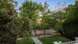 Un jardín residencial con césped, un sendero y diversas especies de árboles.