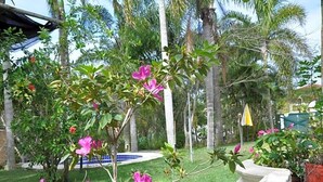 En have med blomstrende planter og en swimmingpool.