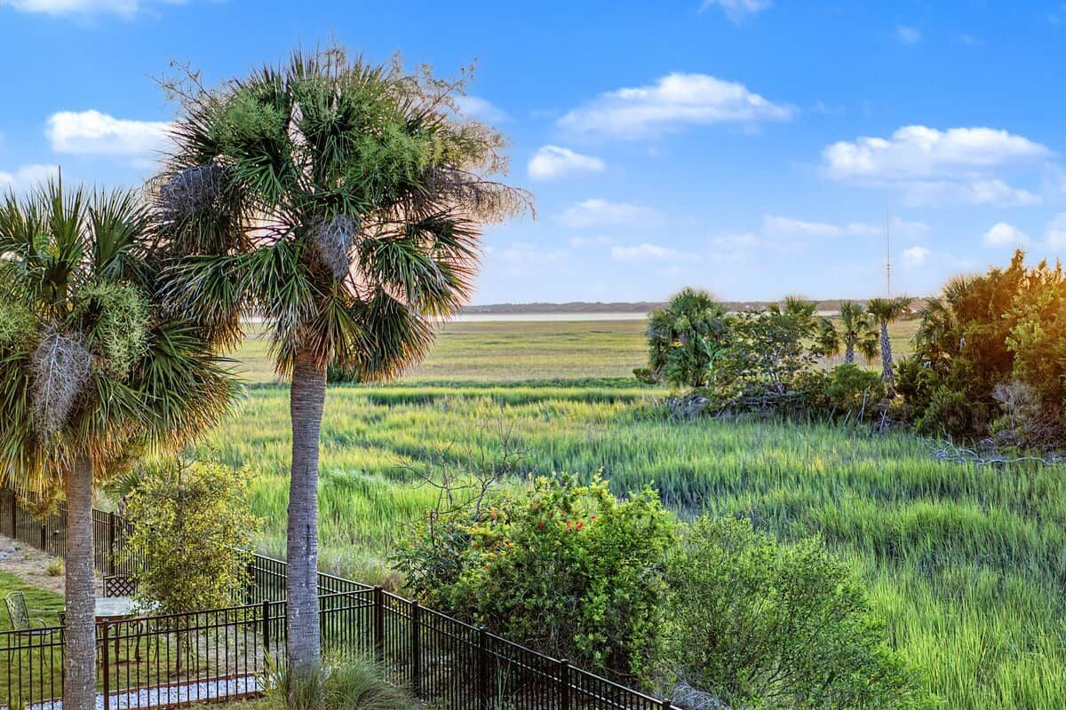 A fenced area with palm trees and a field.