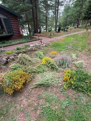 A cabin with a deck and a garden with various plants. - Cabin - House of the Muse (Gordon)