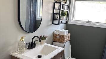 Hair dryer, towels, soap, toilet paper