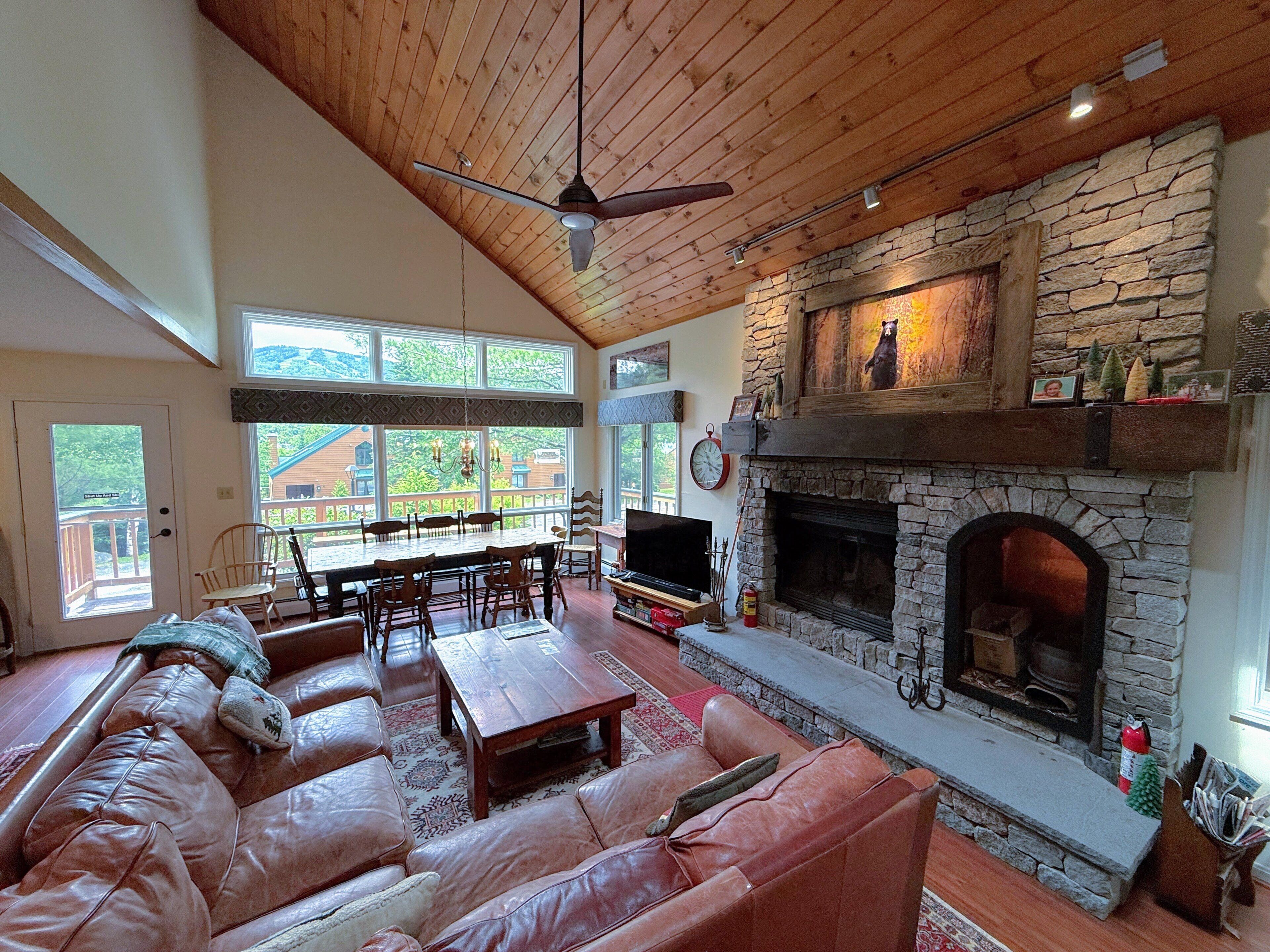 Smart TV, fireplace, ping pong, books