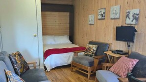 A room with a bed, a sofa, a chair, a TV, and wooden walls.