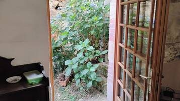 An open wooden door leading to a garden area with a potted plant and a small table with a container.