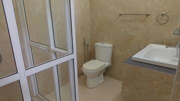 Shower, hair dryer, bidet, towels