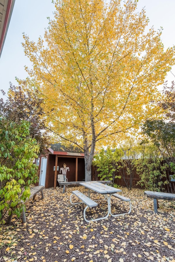 A park area with a picnic table, a small shed, and a tree with yellow leaves. - Pinedale Cozy Cabins (Pinedale)