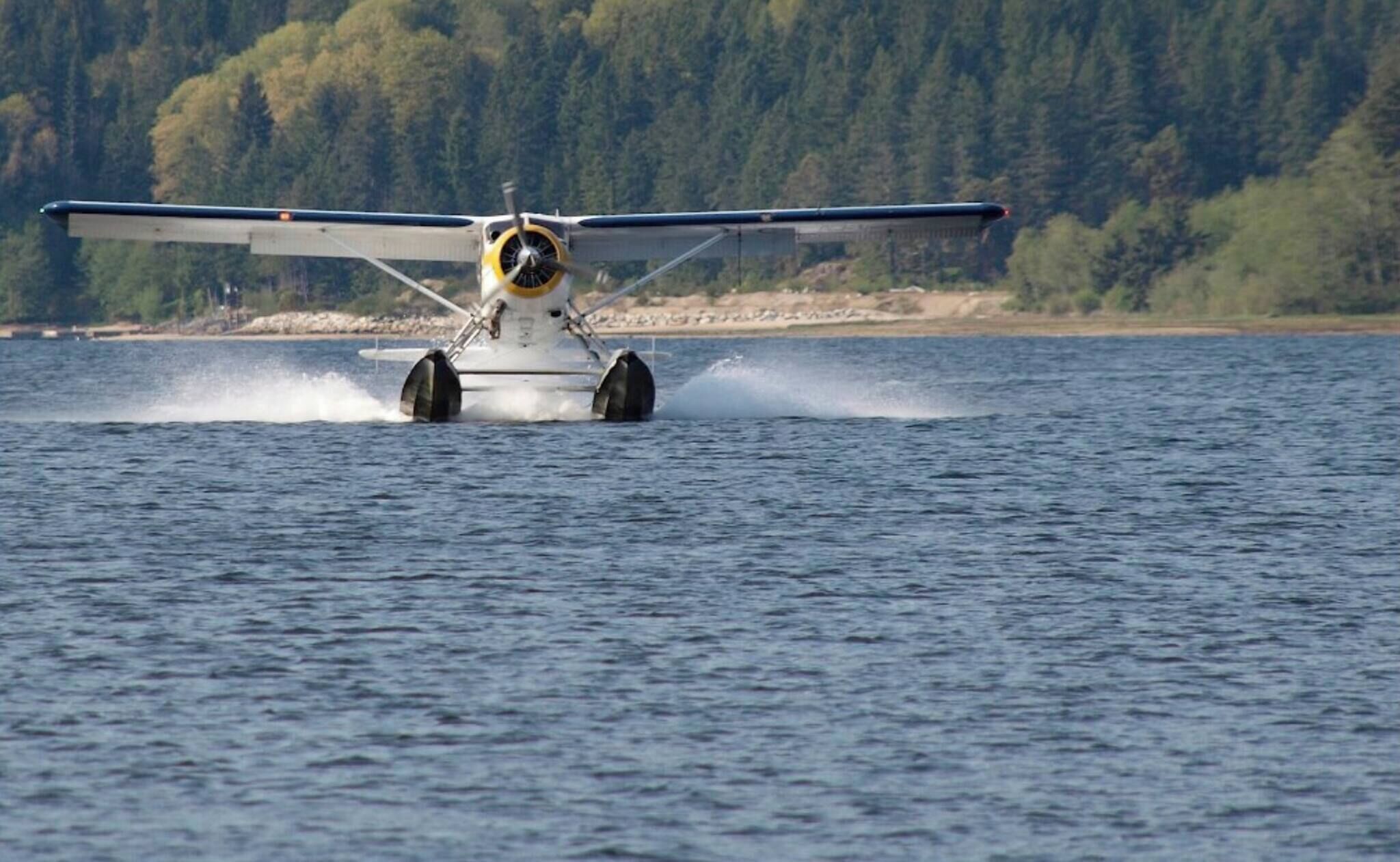 A seaplane landing on water with a forested shoreline in the background.