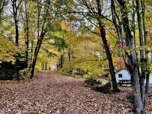 Ein bewaldetes Gebiet mit einem weißen Gebäude, vermutlich eine Hütte, umgeben von Bäumen mit Herbstlaub.