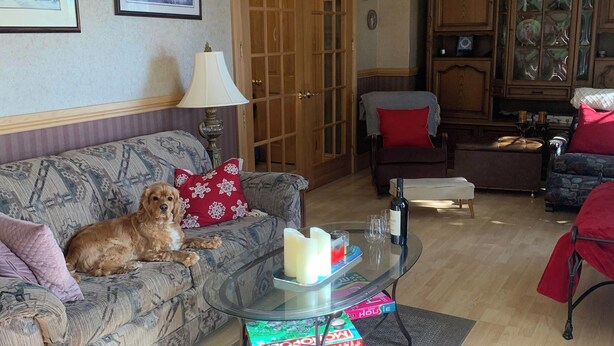 Ett vardagsrum med en soffa, ett soffbord i glas och en hund. I bakgrunden syns ett träskåp och en dörr.