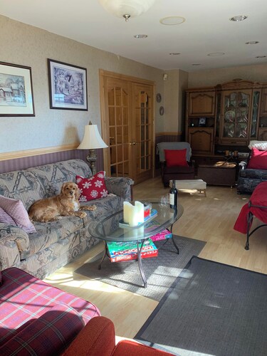 Mali's 3-Bedroom Large Lakeview Retreat on Lake Cecebe that is magical.