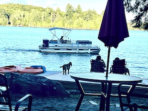 A lakeside setting with a boat, a dog, and outdoor seating. - Mali's 3-Bedroom Large Lakeview Retreat on Lake Cecebe that is magical. (Magnetawan)