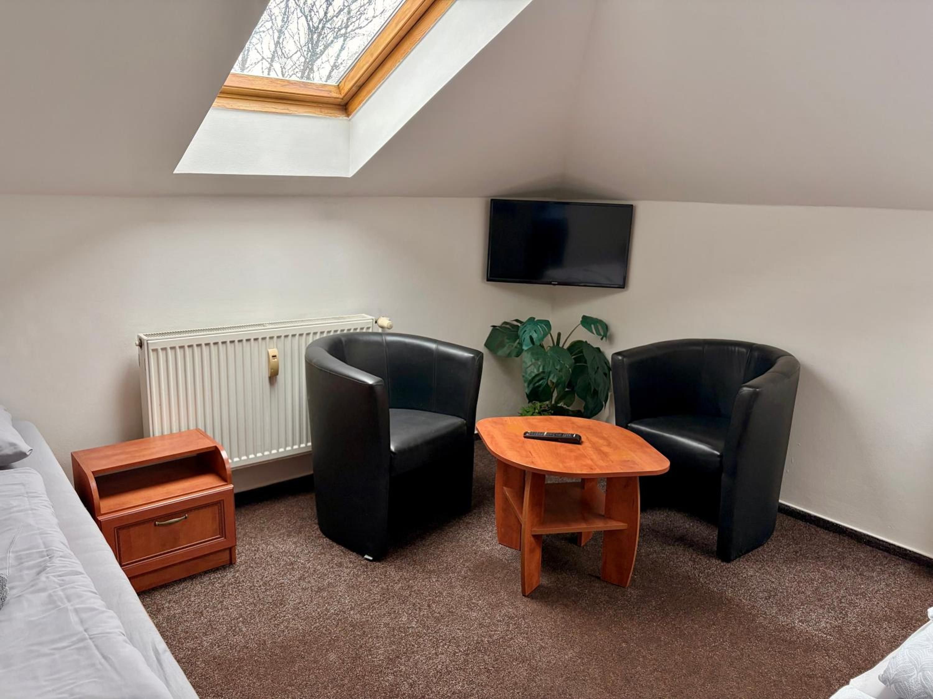 Ein Zimmer mit Dachfenster, einem Bett, einem Fernseher, zwei schwarzen Stühlen, einem kleinen Holztisch, einer Heizung und einer Pflanze.
