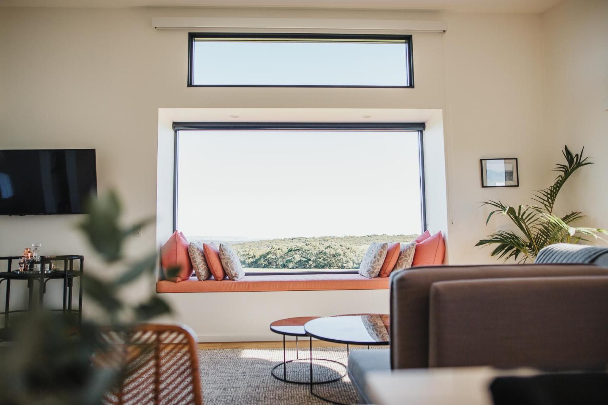 A living room with a large window, a flat-screen TV, a sofa with cushions, a coffee table, and a potted plant.