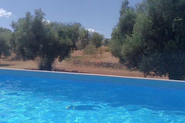 Shared pool