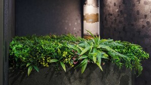 Un jardinier mural orné de différentes plantes vertes et de fougères.