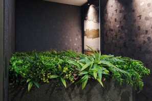 Um vaso fixado na parede com diversas plantas verdes e samambaias.