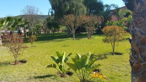 Una zona verda ben cuidada amb arbres i plantes variades, un mur de pedra i un edifici al fons.