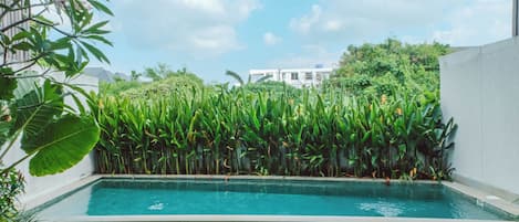 Una piscina rectangular con césped delantero, rodeada de abundante follaje y un edificio al fondo.