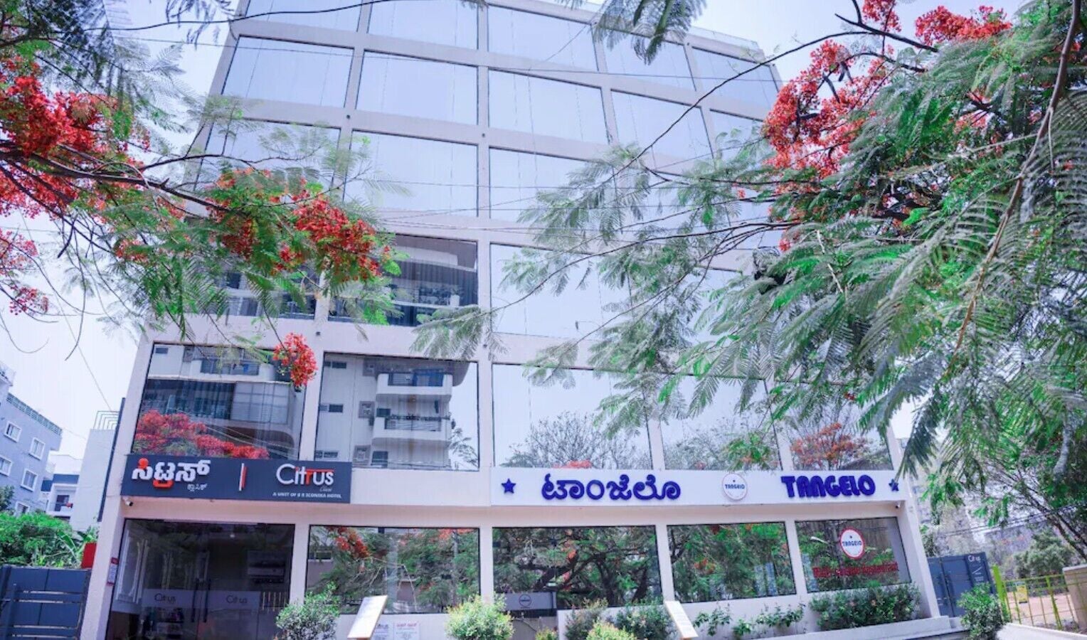 Quang cảnh nhìn từ nơi lưu trú