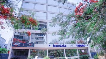 Quang cảnh nhìn từ nơi lưu trú