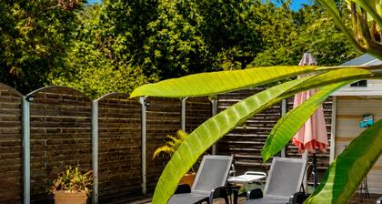 Grande piscine, dans un environnement paisible, déconnexion totale assurée !