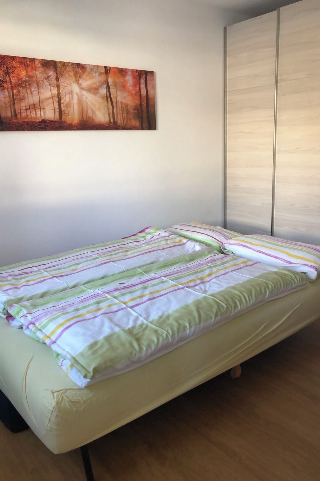 A single bed with a striped bedspread, a wall-mounted painting of a forest scene, and a sliding door.