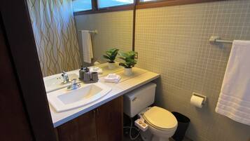 Une salle de bain avec un lavabo, des toilettes et une fenêtre.