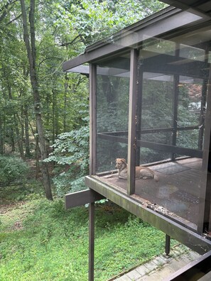 Property grounds - Mid-century 3-bedroom in Kalamazoo (Kalamazoo)