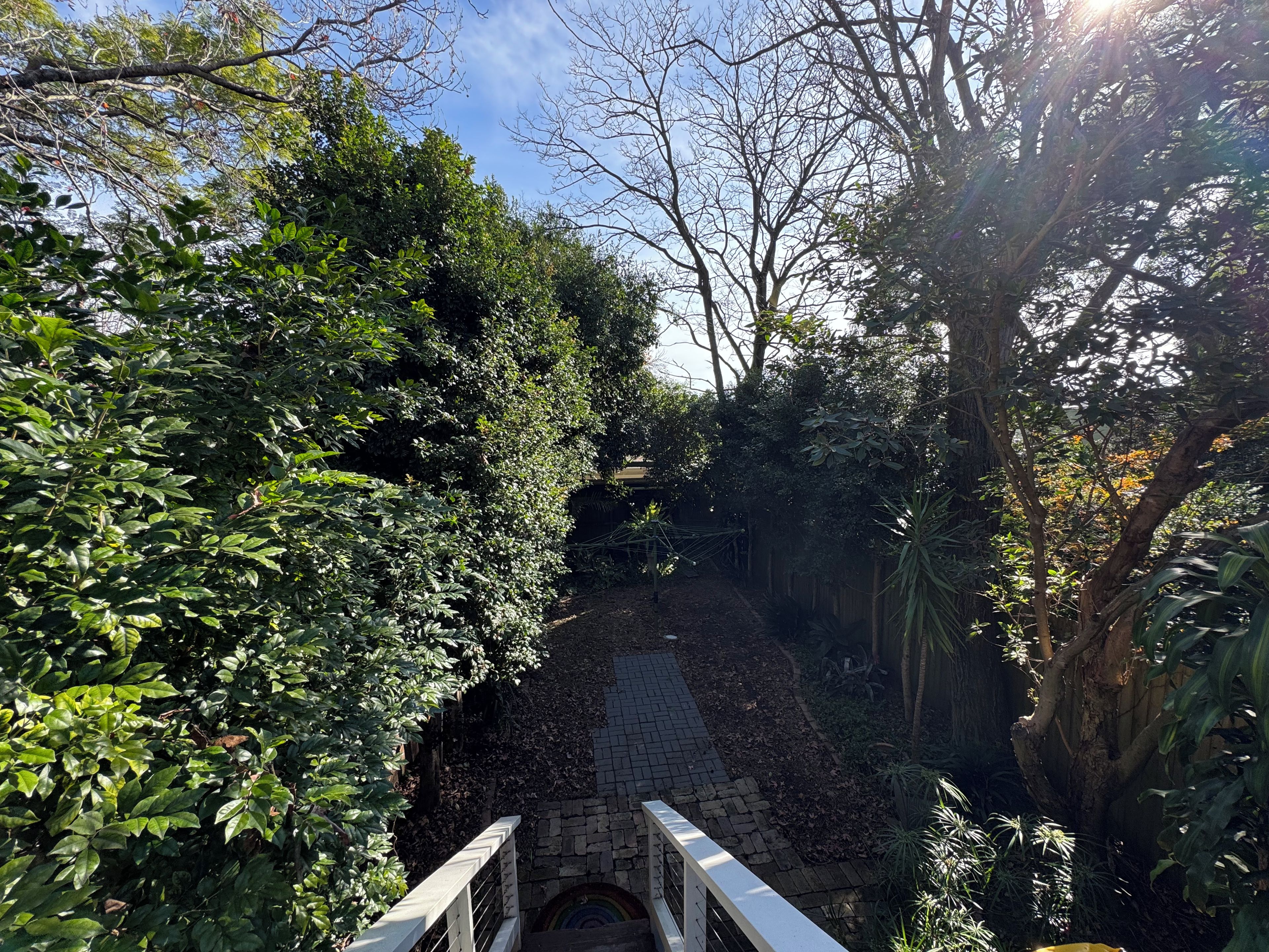 Un sentier qui traverse un jardin bordé de chaque côté d’une végétation dense.