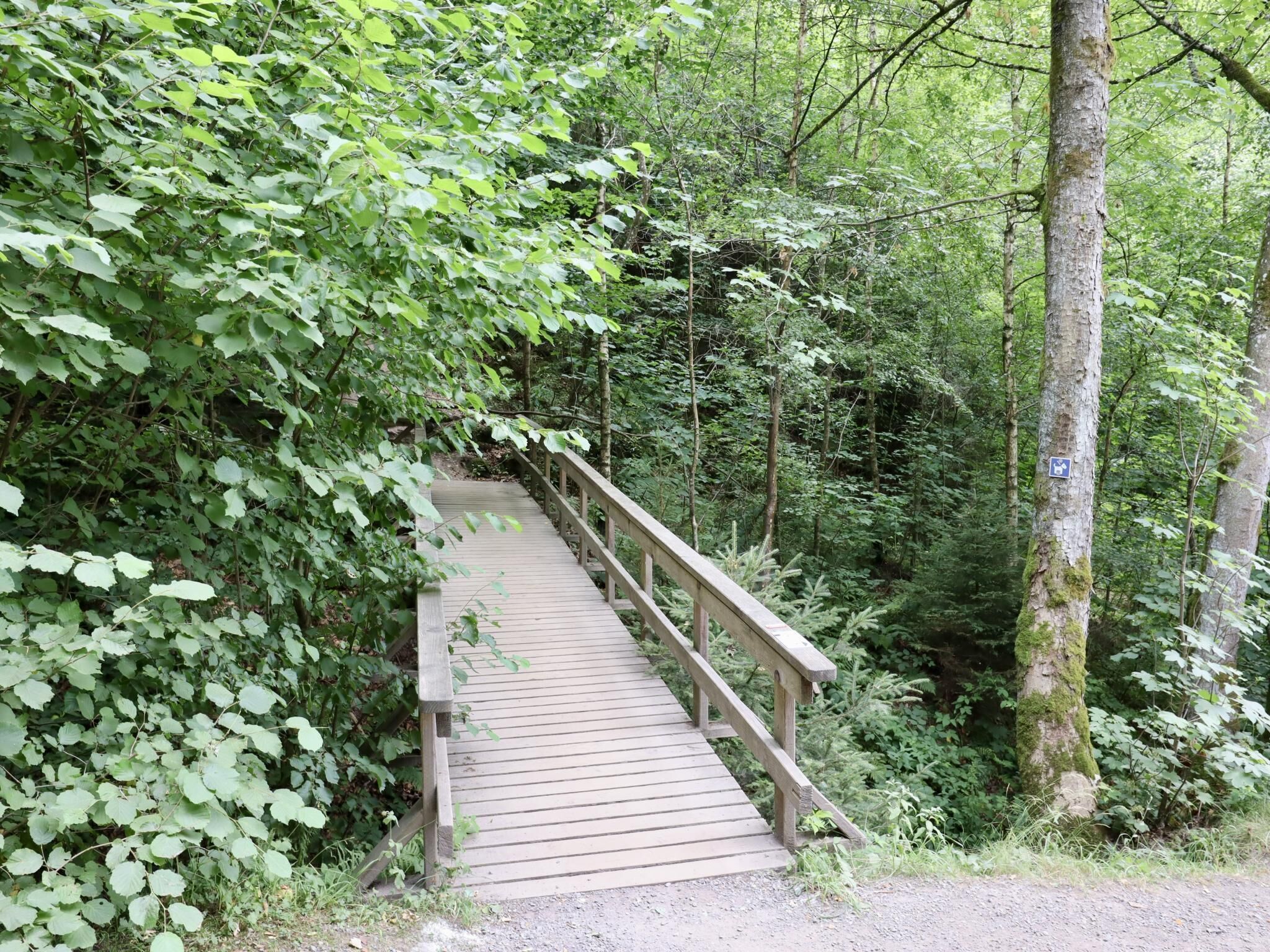 Un ponte di legno in una zona boschiva.