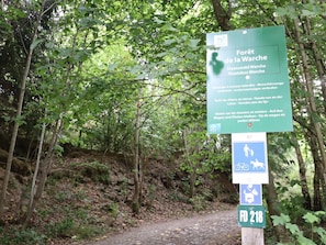 A signpost with information about a forest trail, including prohibitions and a symbol indicating a path for pedestrians, cyclists, and horse riders. - Charming cottage near Lake Robertville (Robertville)