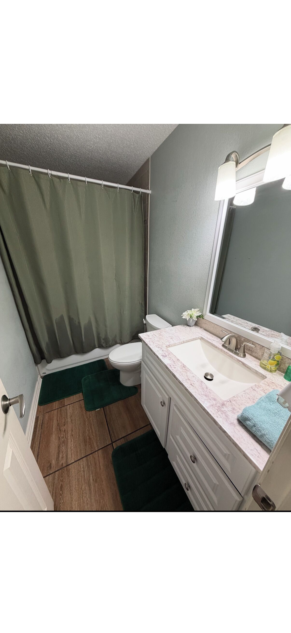 Hair dryer, towels, soap, toilet paper