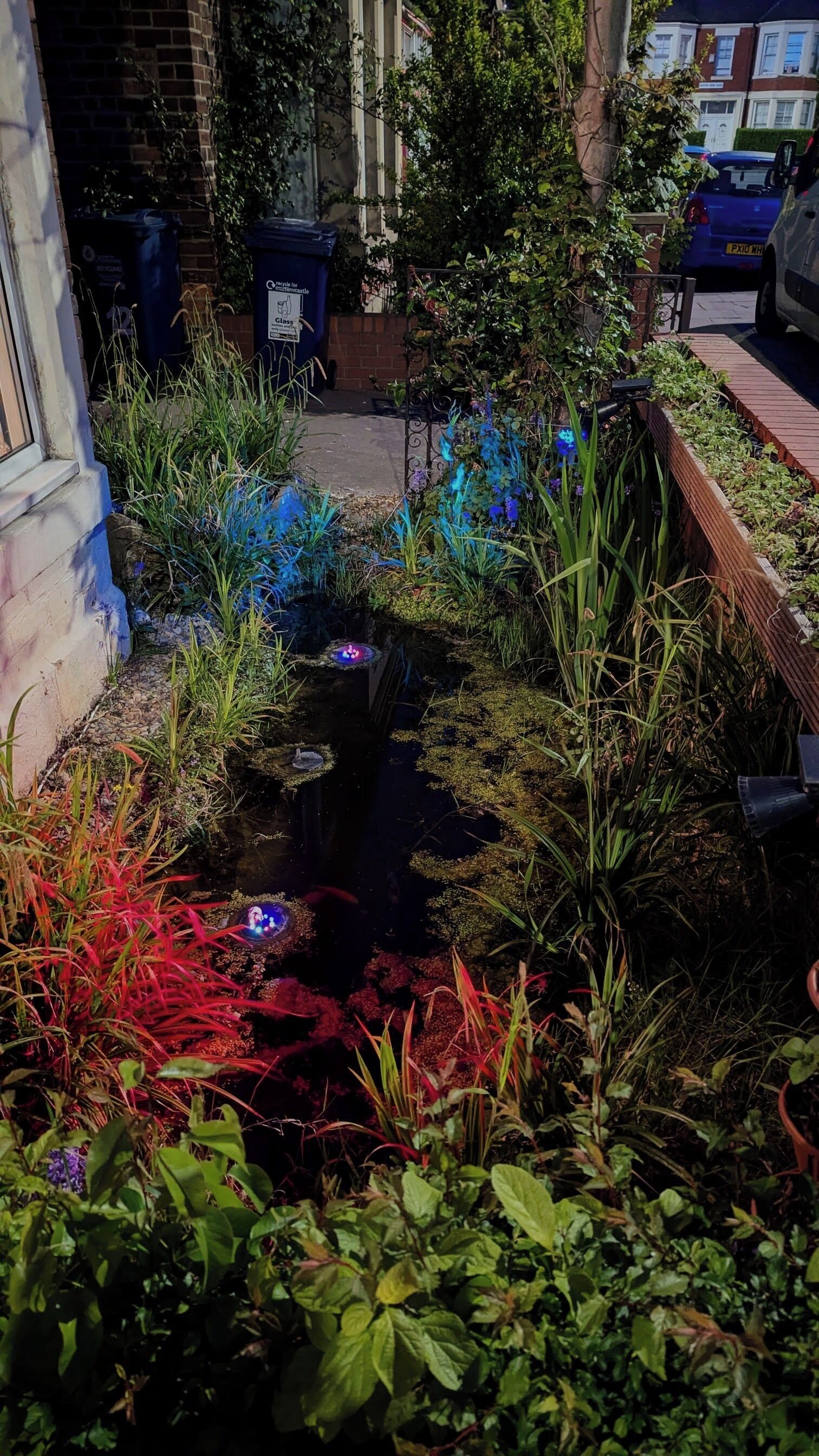 A garden with a pond, various plants, and a recycling bin.